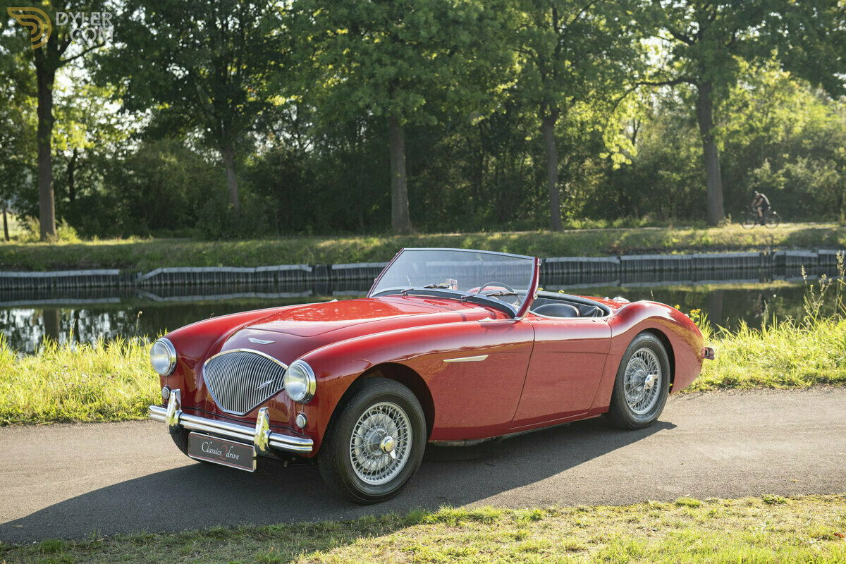 1955 Austin-Healey 100 Stunning BN2 Multiple Concours Winner, foto 4
