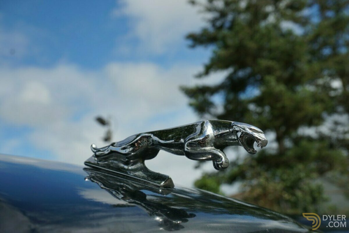 1973 Jaguar XJ 4.2 DE LUXE AUT., foto 5