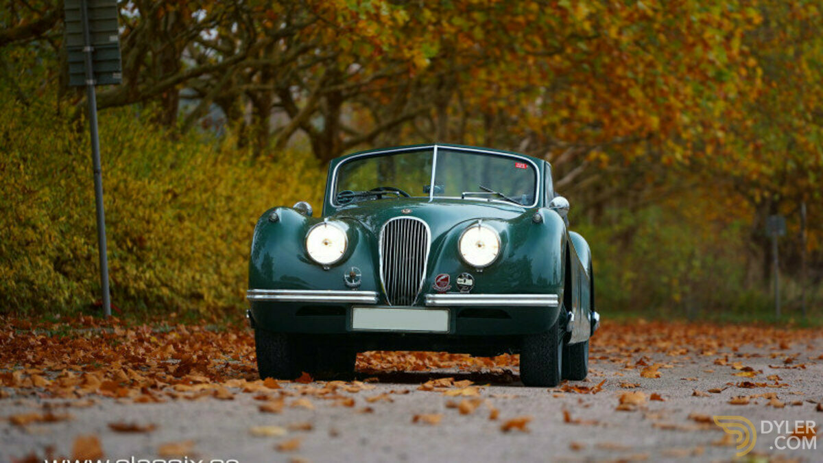 1954 Jaguar XK 120 DHC, foto 4