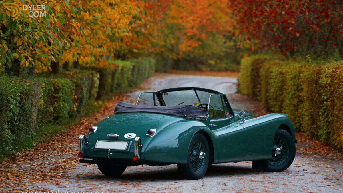 1954 Jaguar XK 120 DHC, foto 6