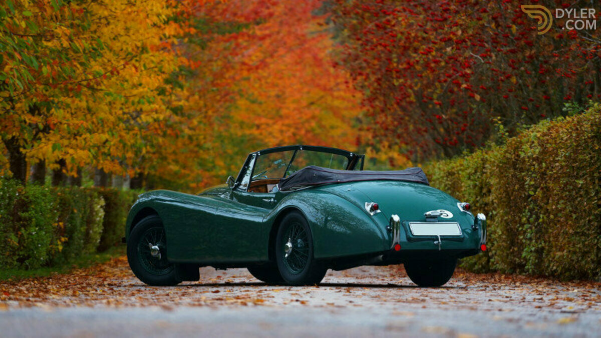 1954 Jaguar XK 120 DHC, foto 12