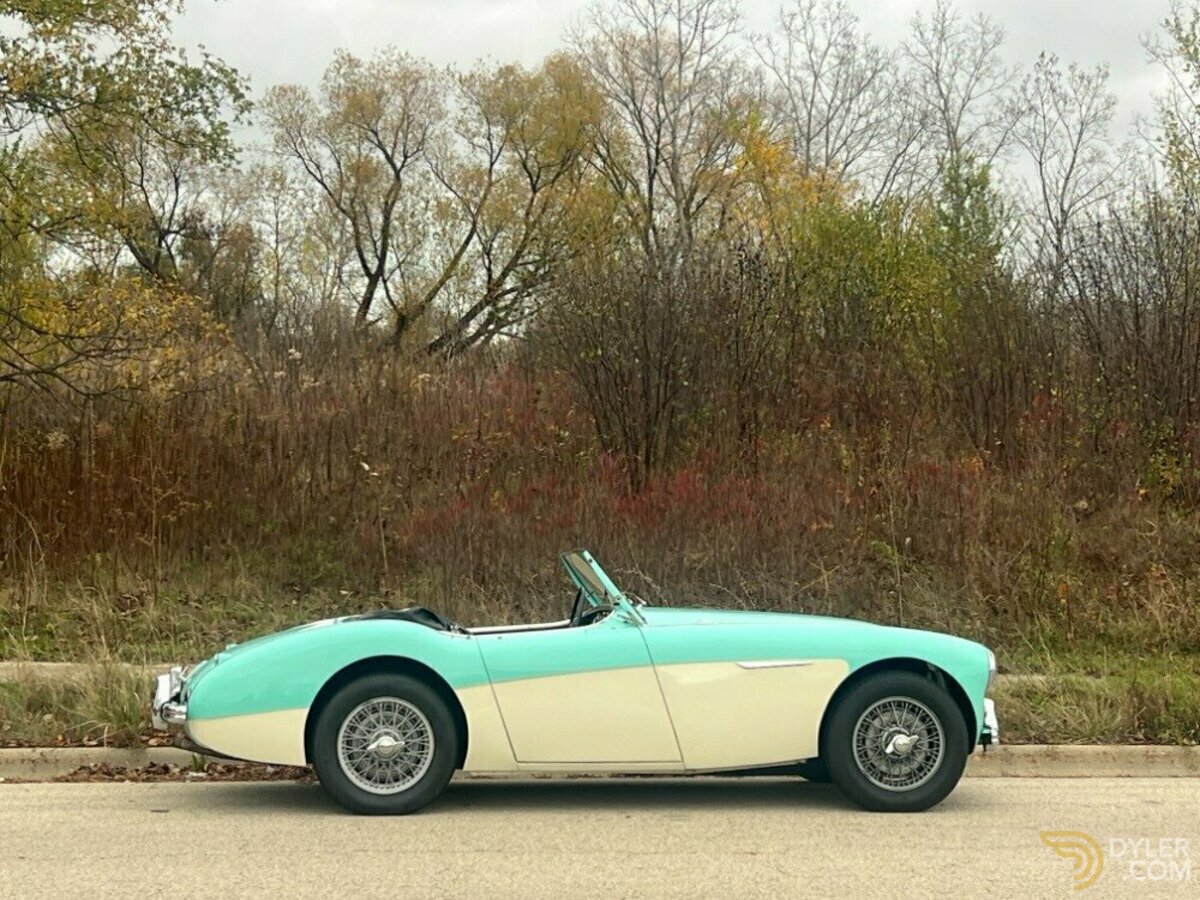 1956 Austin-Healey 100, foto 3
