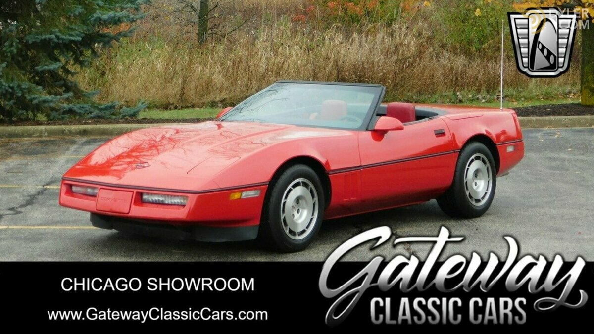 large_24674055-ecf4-4292-aa35-