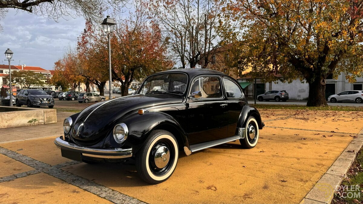1972 Volkswagen 1302, foto 1