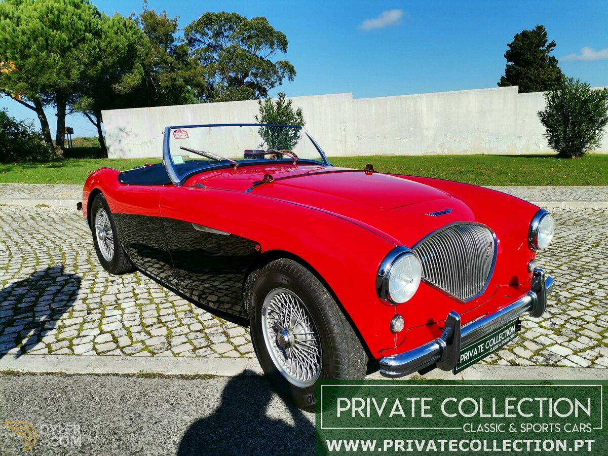 1955 Austin-Healey 100 BN1, foto 1