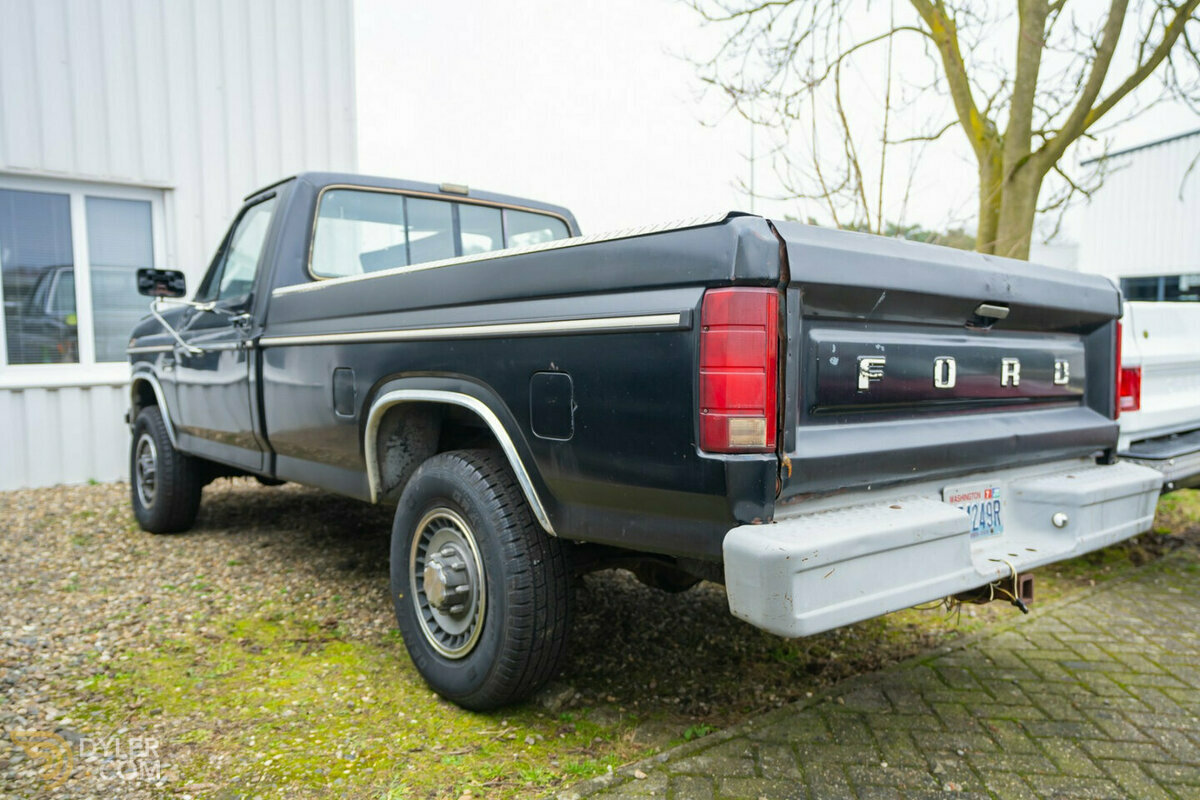 1985 Ford F-250 Pick-Up 4x4, foto 6