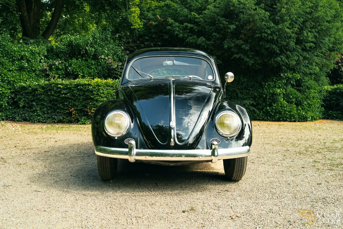 1954 Volkswagen Beetle, foto 3
