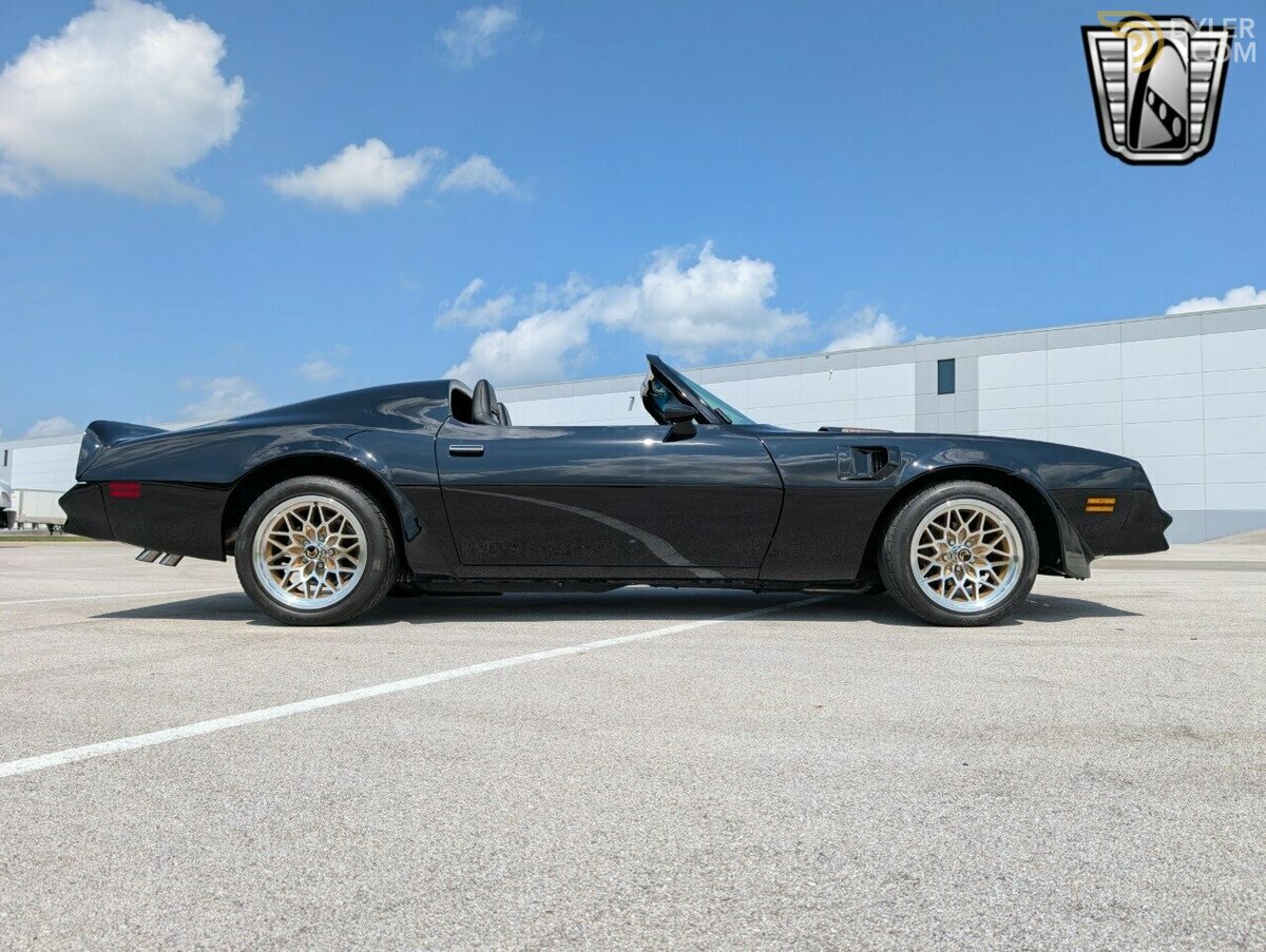 1977 Pontiac Firebird Trans Am, foto 6