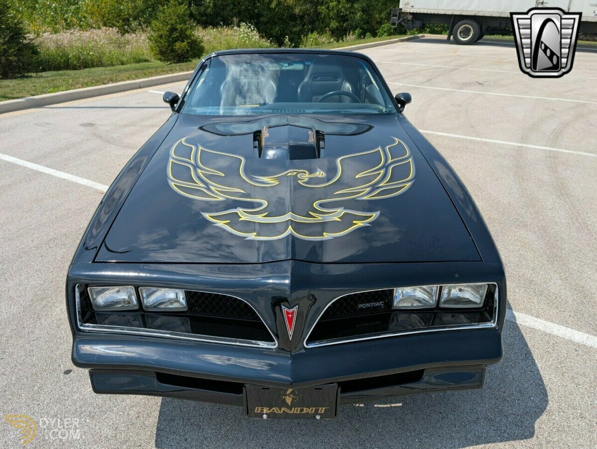 1977 Pontiac Firebird Trans Am, foto 8