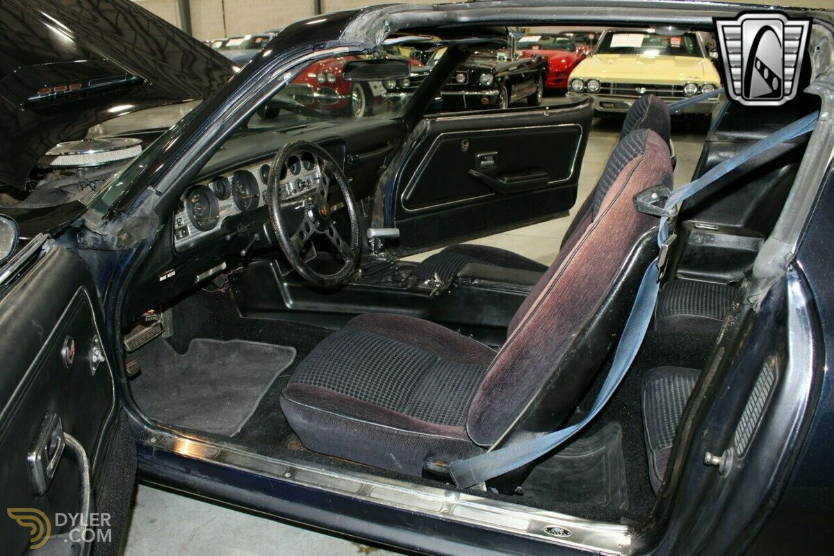 1981 Pontiac Firebird Trans Am, foto 6