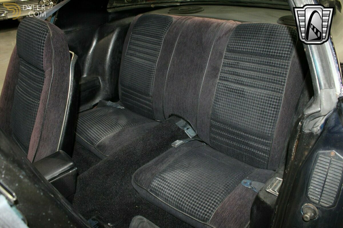 1981 Pontiac Firebird Trans Am, foto 8