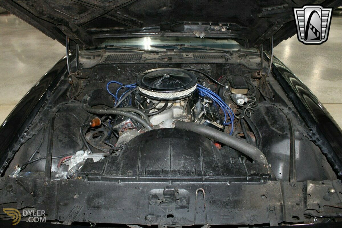 1981 Pontiac Firebird Trans Am, foto 9