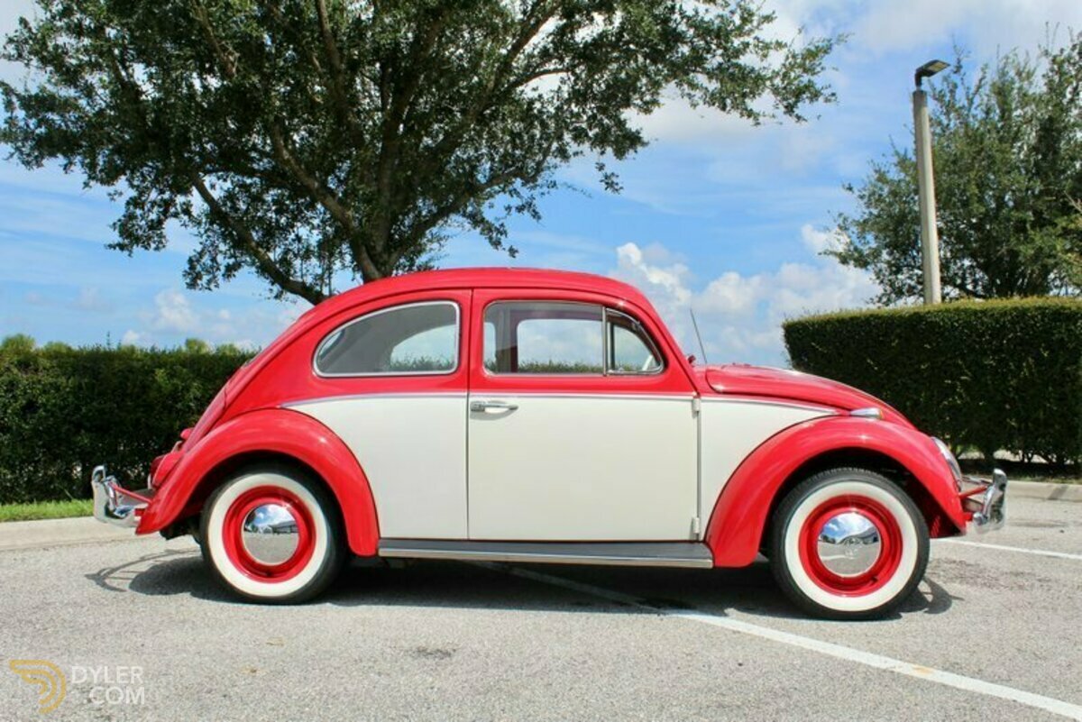 1964 Volkswagen Beetle Deluxe, foto 2