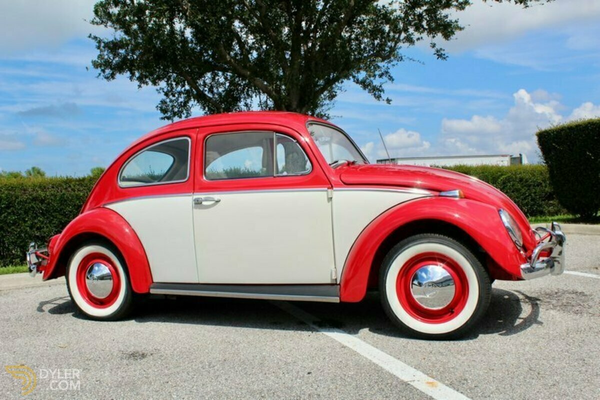 1964 Volkswagen Beetle Deluxe, foto 3