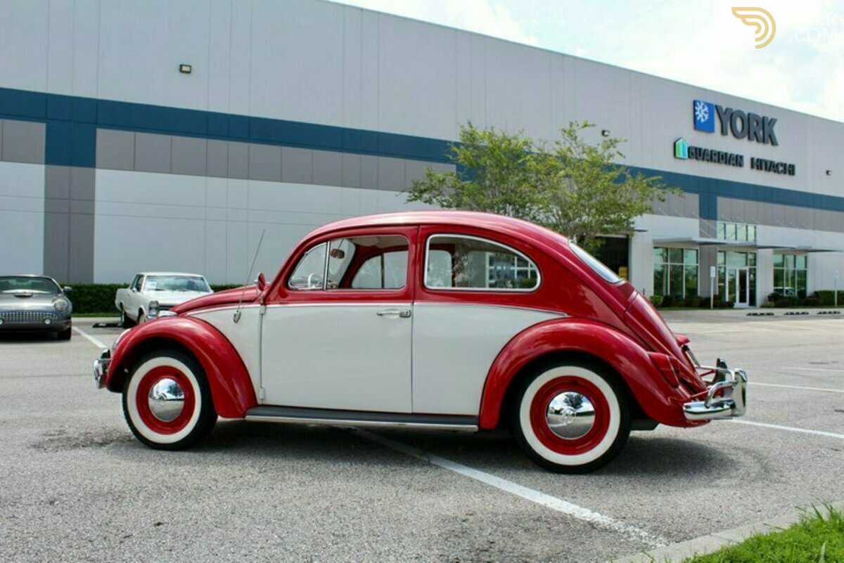 1964 Volkswagen Beetle Deluxe, foto 9