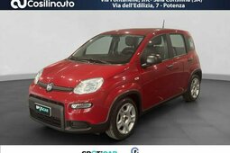 Fiat Panda 1.0 FireFly S&S Hybrid City Life MY24 Berlina 2024 Rosso