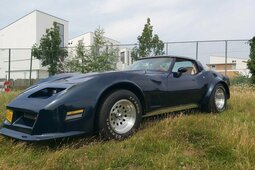 Chevrolet Corvette Coupe 1979 Green