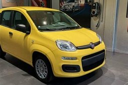 Fiat Panda 1.0 FireFly S&S Hybrid ICON Sedan/Berlina 2024