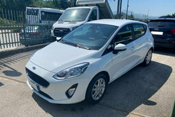 Ford Fiesta 1.5 EcoBlue 5 porte Business CARPLAY Limousine 2020 Weiss