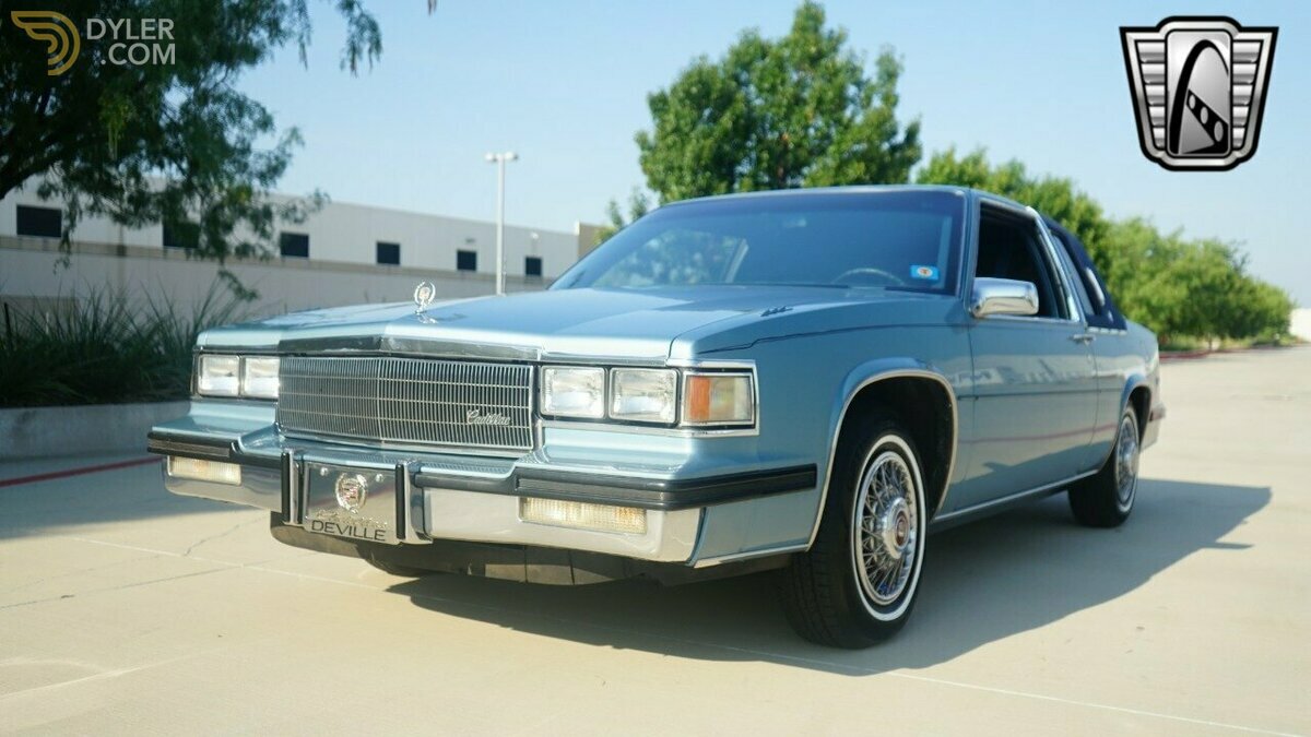 large_6cde82ff-2445-4a67-bb40-