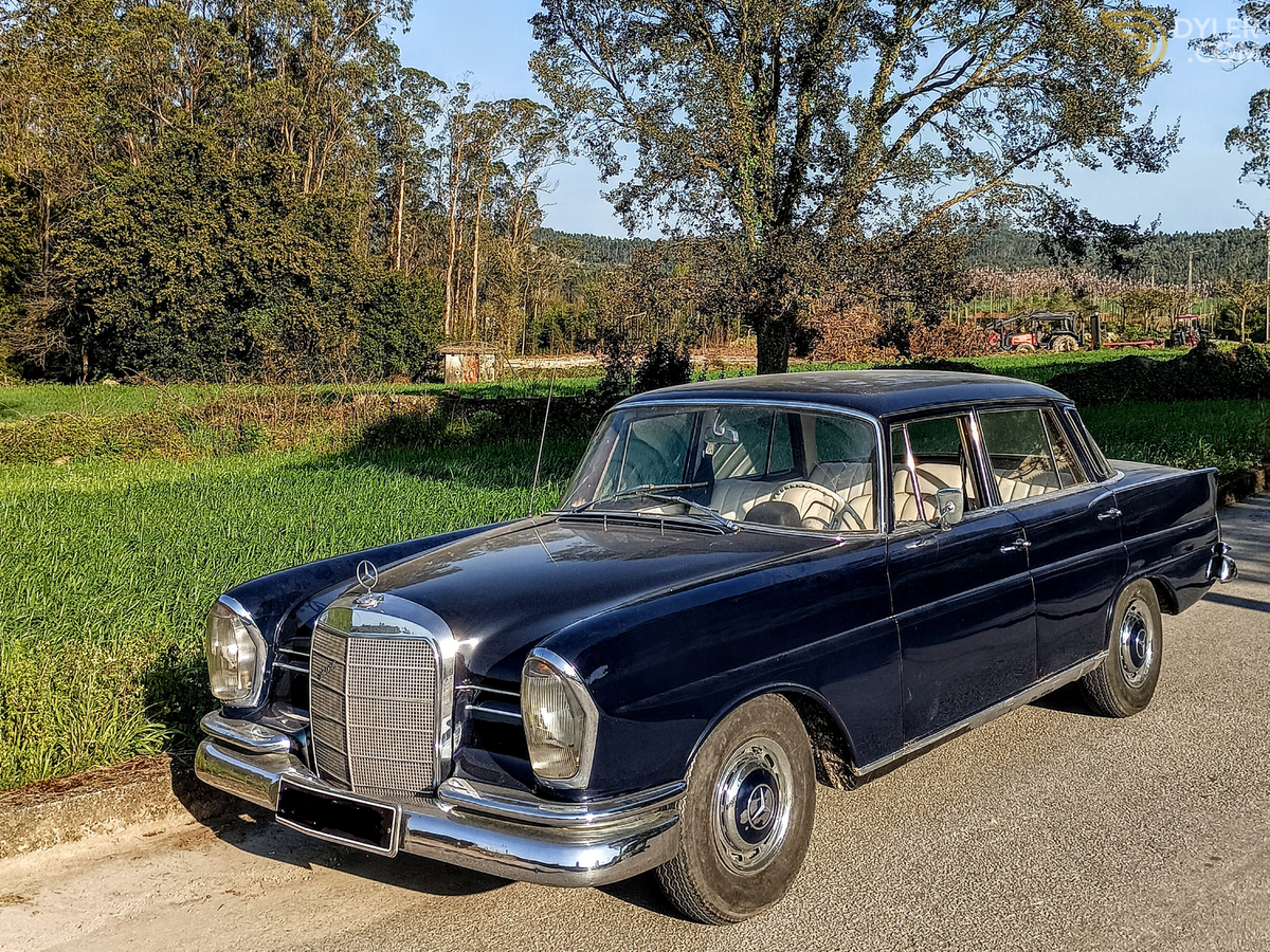 1965 Mercedes-Benz 220 SE W111, foto 2