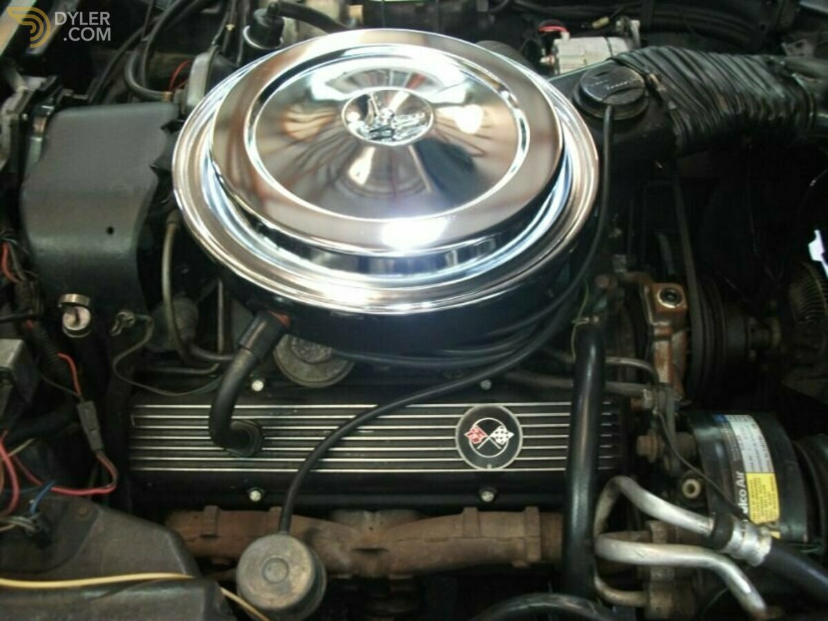 1978 Chevrolet Corvette 25th Anniversary Edition, foto 9