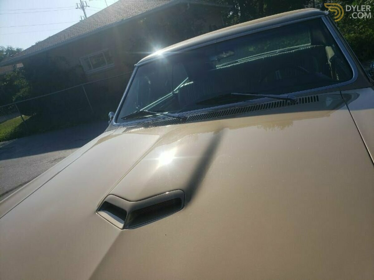 1967 Pontiac GTO, foto 11