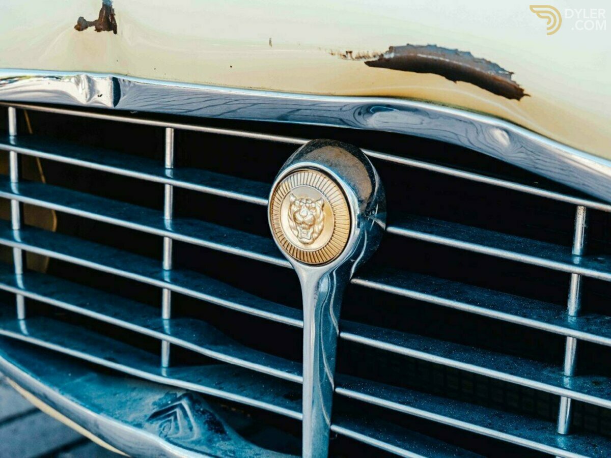 1975 Jaguar E-Type OTS Roadster, foto 11