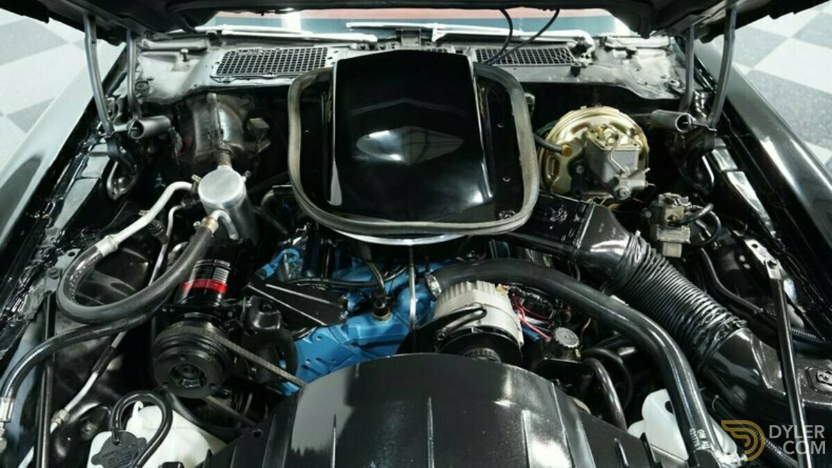 1978 Pontiac Firebird Trans Am, foto 3