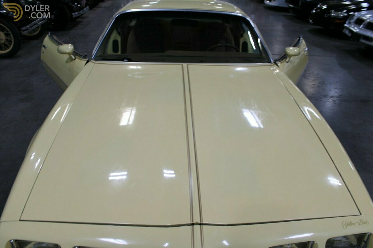1980 Pontiac Firebird YellowBird, foto 10