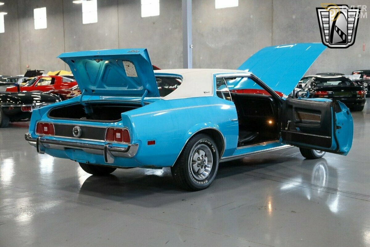 1973 Ford Mustang Grande, foto 11