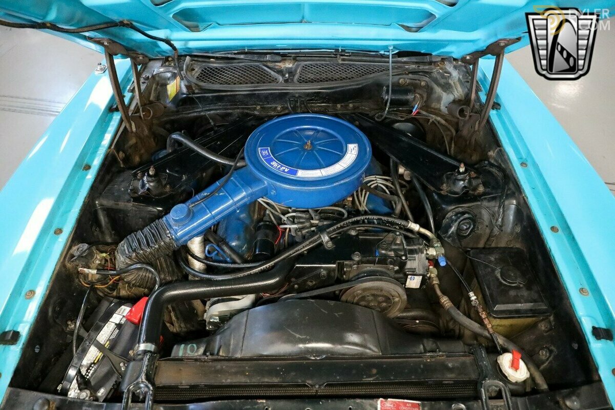 1973 Ford Mustang Grande, foto 12
