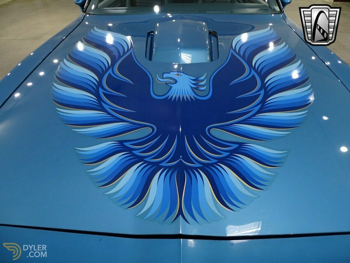 1979 Pontiac Firebird Trans Am, foto 10