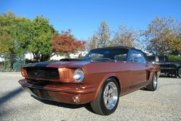 Ford Mustang Shelby Tribute Convertible Cabriolet / Roadster 1966 Marrone