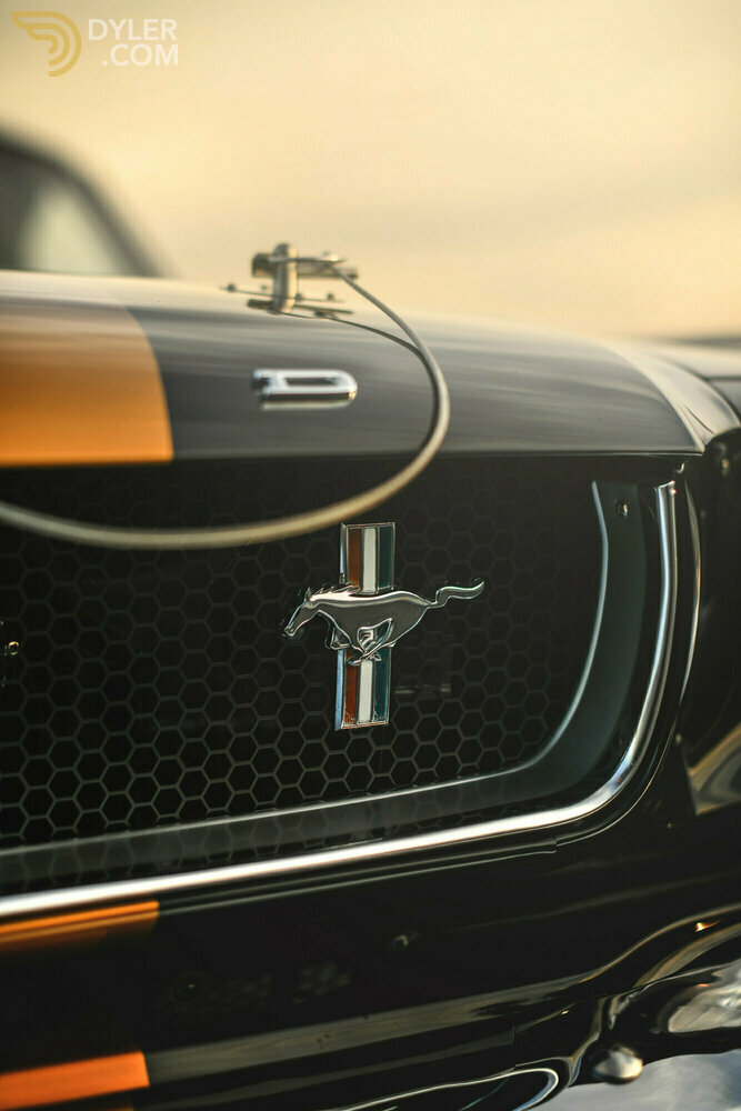 1966 Ford Mustang Fastback 4.7, foto 6