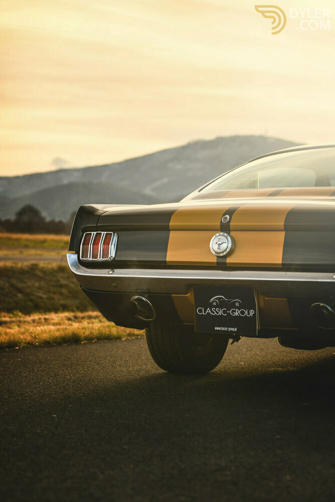 1966 Ford Mustang Fastback 4.7, foto 9