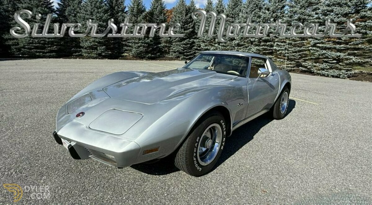 1976 Chevrolet Corvette Stingray, foto 1