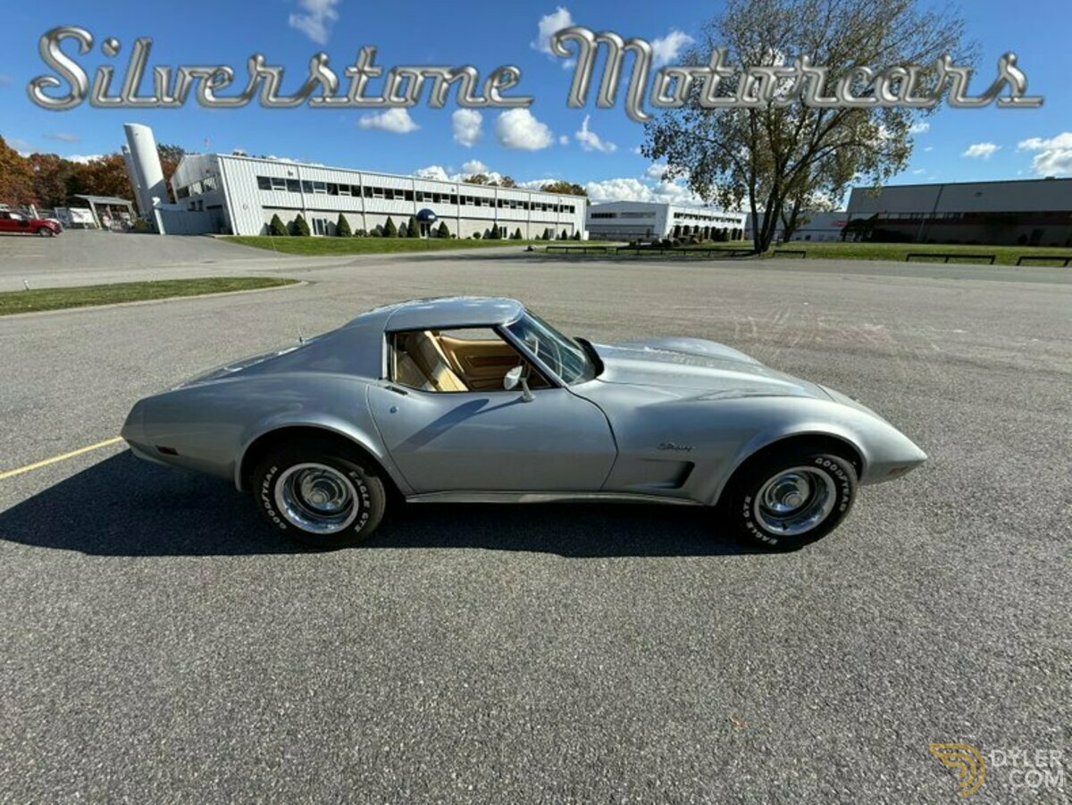 1976 Chevrolet Corvette Stingray, foto 8
