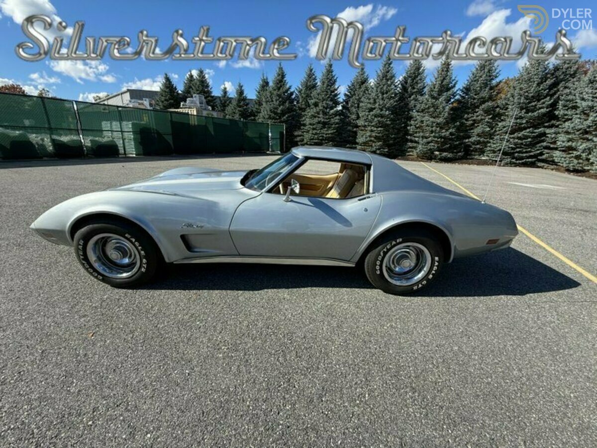 1976 Chevrolet Corvette Stingray, foto 9