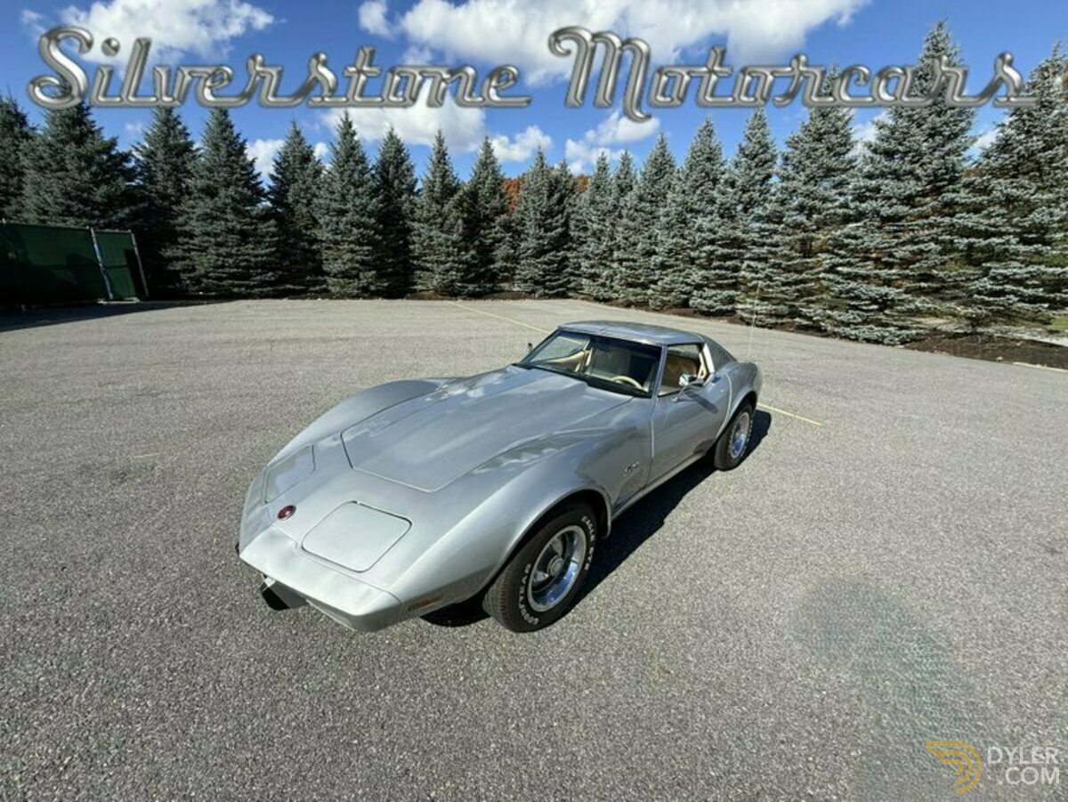 1976 Chevrolet Corvette Stingray, foto 10