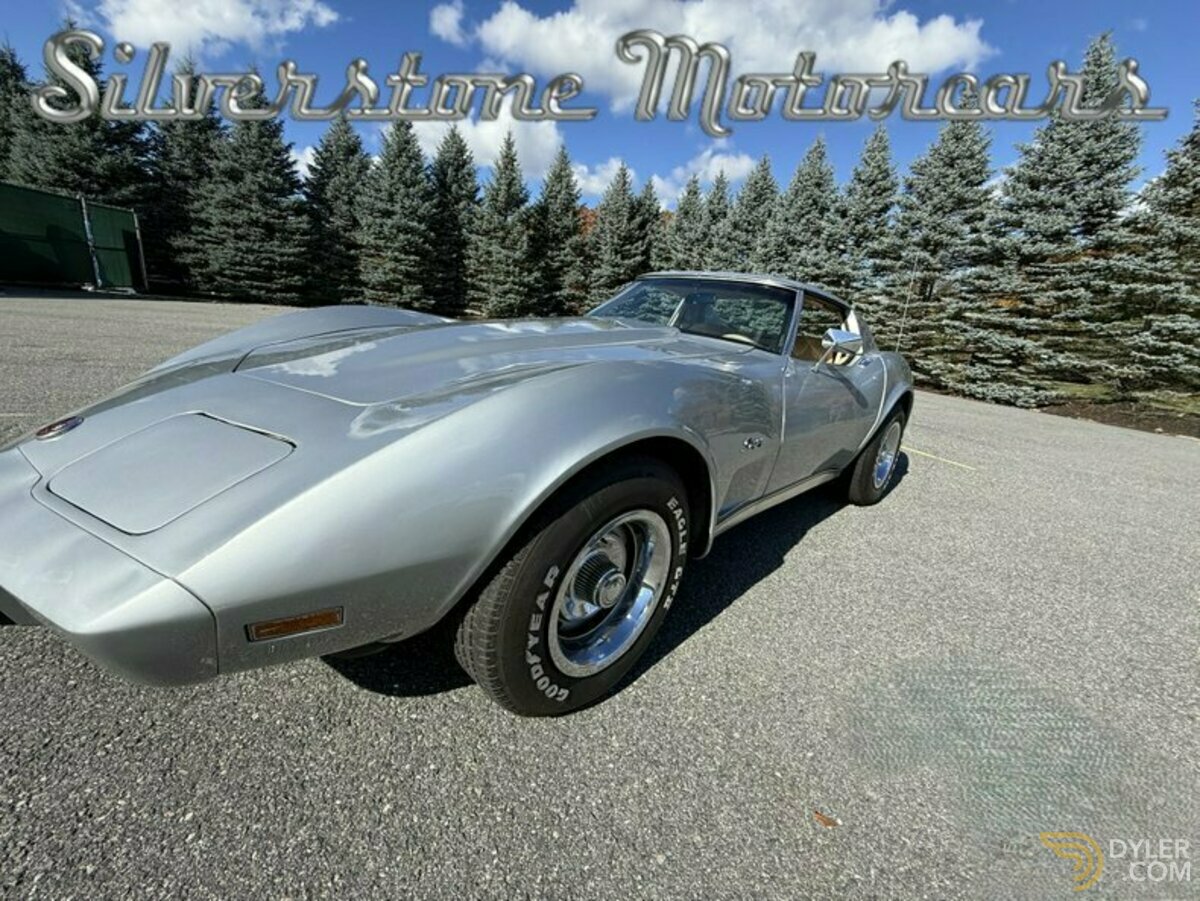 1976 Chevrolet Corvette Stingray, foto 11