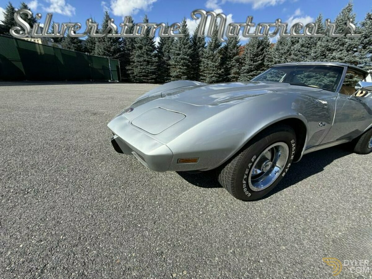 1976 Chevrolet Corvette Stingray, foto 12