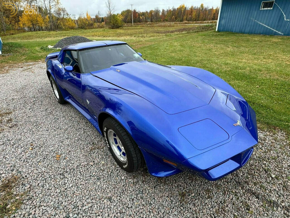 1979 Chevrolet Corvette, foto 5