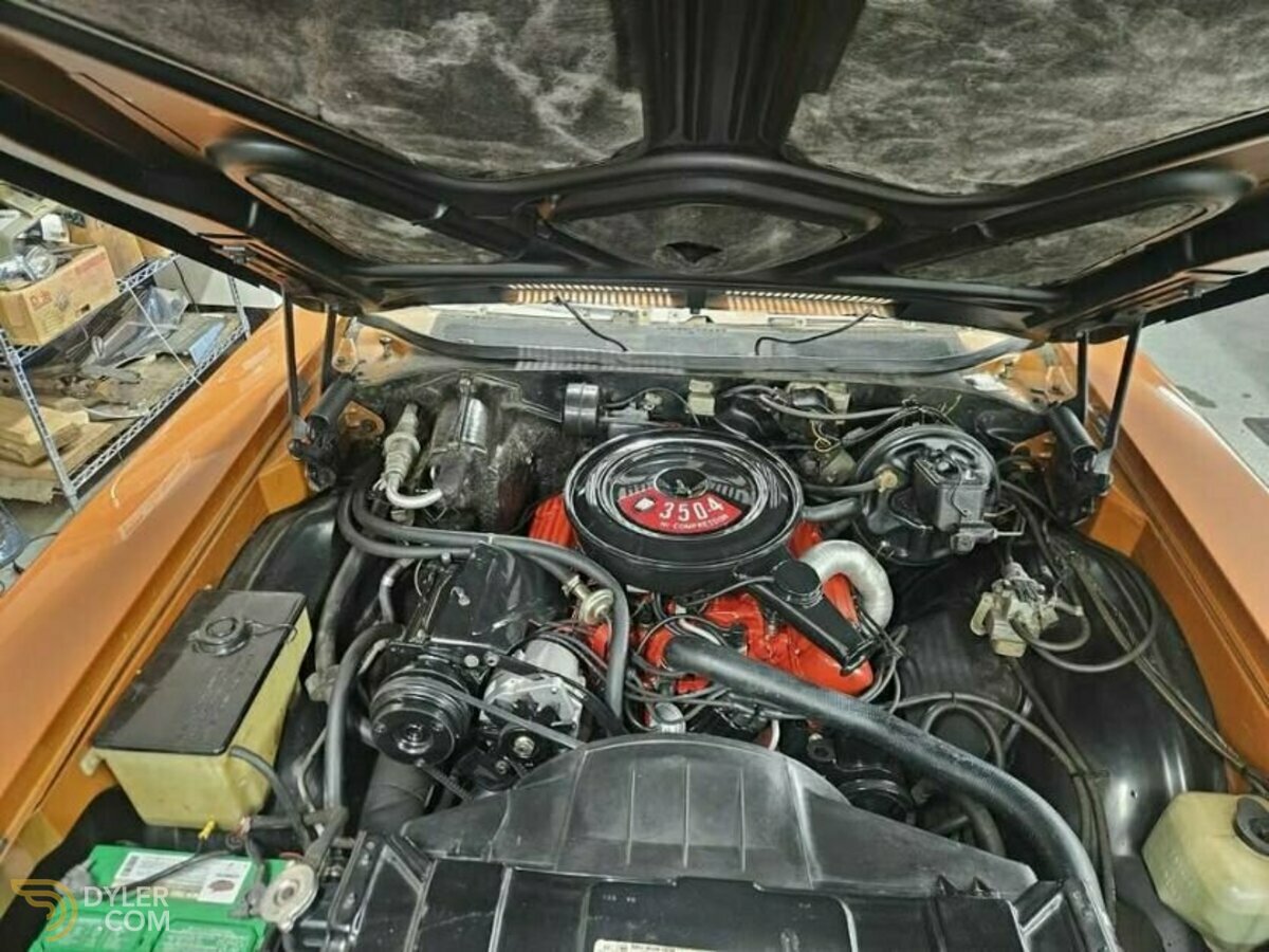 1971 Buick Skylark, foto 5