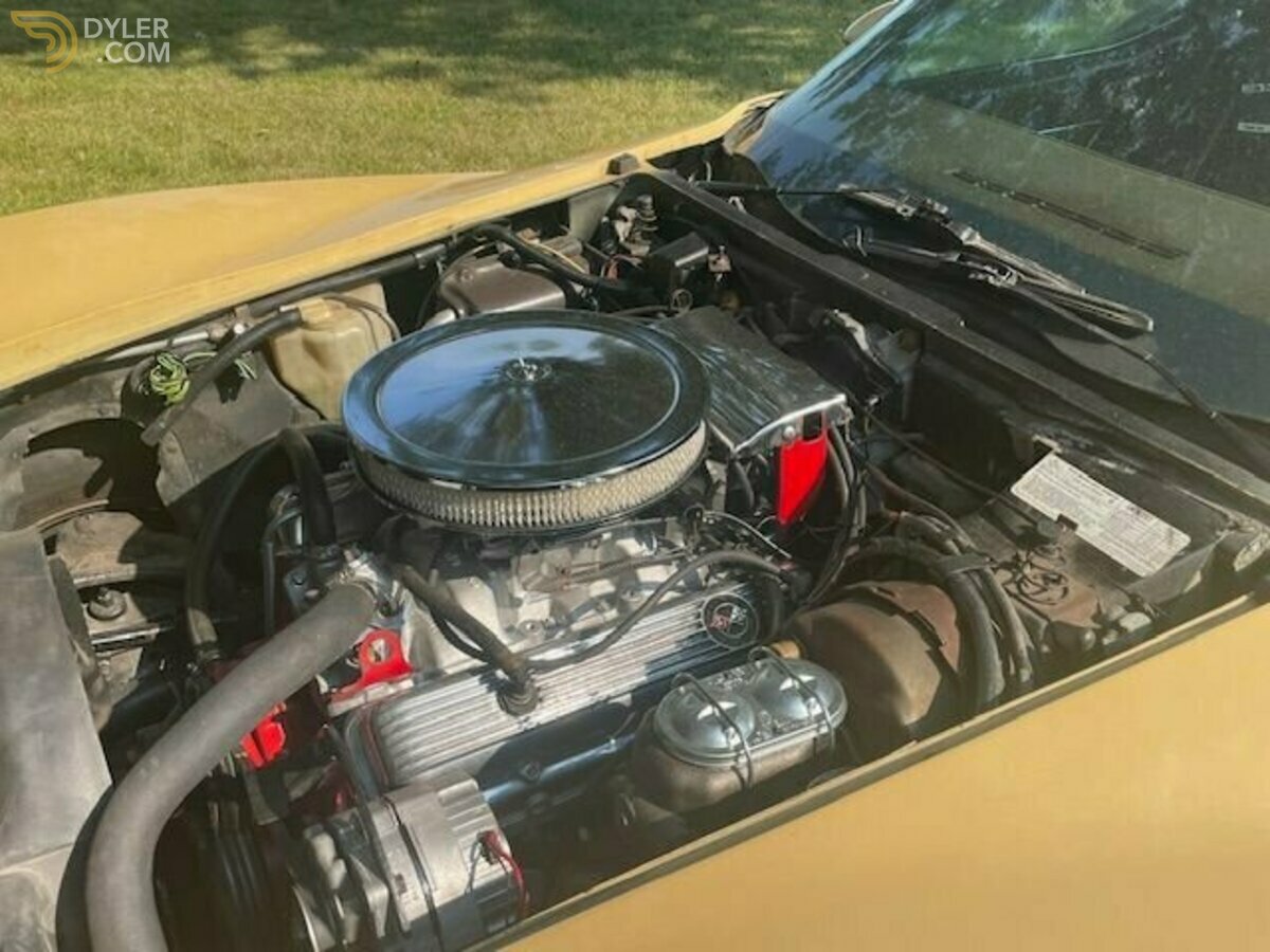 1977 Chevrolet Corvette, foto 2