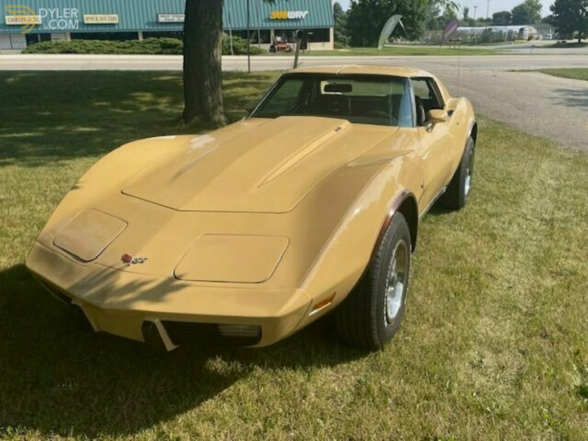 1977 Chevrolet Corvette, foto 3