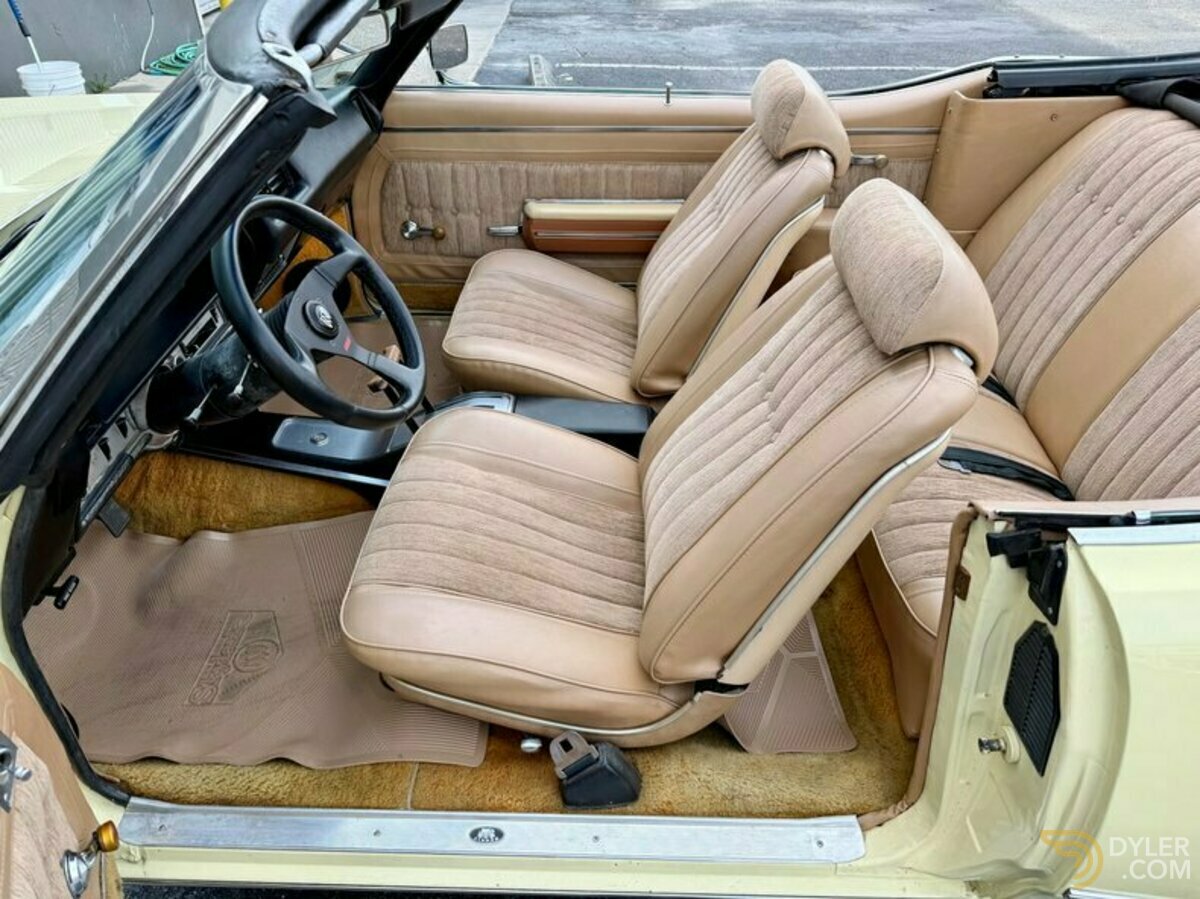 1969 Buick Skylark Convertible, foto 5
