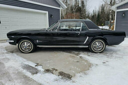Ford Mustang Coupe 1966 Schwarz