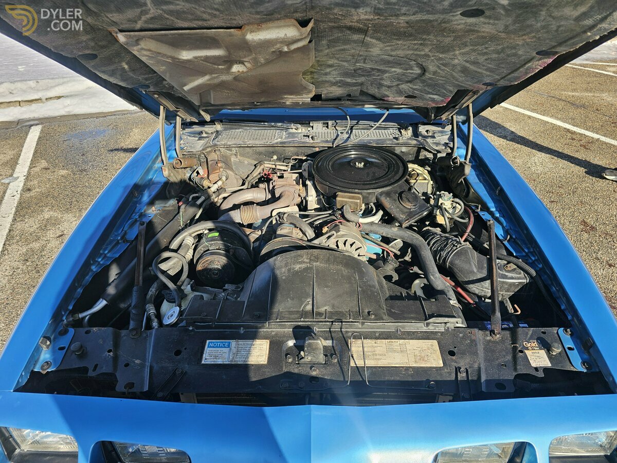 1980 Pontiac Firebird Trans Am Turbo, foto 8