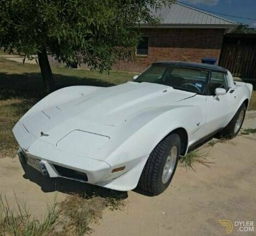 1979 Chevrolet Corvette, foto 1